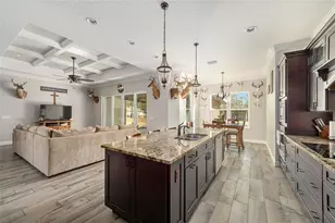 8855 SW 129th Terrace Rd, Dunnellon, FL 34432 - Photo 13