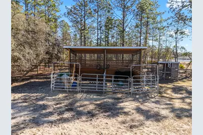 8855 SW 129th Terrace Road, Dunnellon, FL 34432 - Photo 61