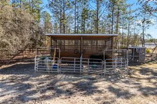 8855 SW 129th Terrace Rd, Dunnellon, FL 34432 - Photo 61