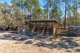 8855 SW 129th Terrace Rd, Dunnellon, FL 34432 - Photo 61