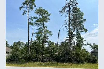 Lot 21 SW 29th Avenue Road, Ocala, FL 34473 - Photo 3