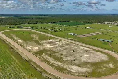 Ne 120 Avenue, Williston, FL 32696 - Photo 15