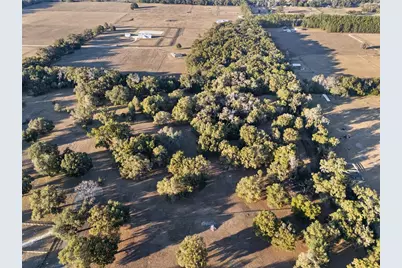 Tbd NW 328, Reddick, FL 32686 - Photo 5