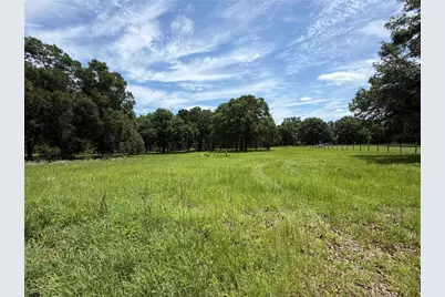 Tbd NW 329, Reddick, FL 32686 - Photo 5