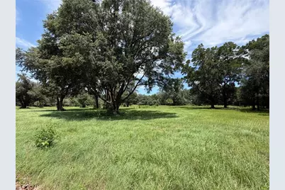 Tbd NW 329, Reddick, FL 32686 - Photo 3