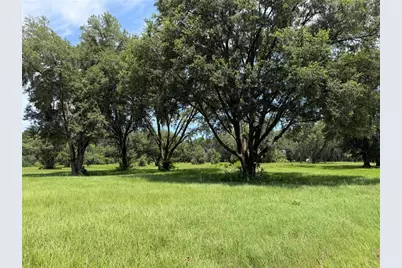 Tbd NW 329, Reddick, FL 32686 - Photo 1