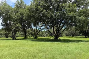 Tbd NW 329, Reddick, FL 32686 - Photo 1