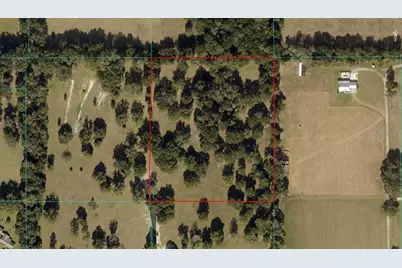 Tbd NW 329, Reddick, FL 32686 - Photo 9