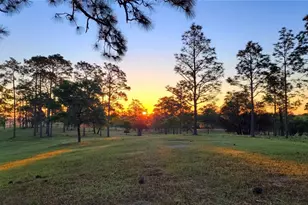 7150 SE 147 Ave, Morriston, FL 32668 - Photo 29