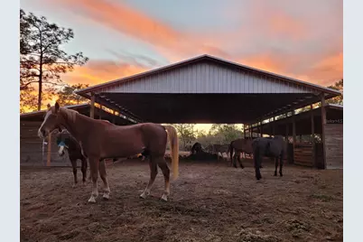 7150 SE 147th Avenue #2, Morriston, FL 32668 - Photo 31