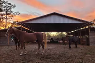 7150 SE 147 Ave, Morriston, FL 32668 - Photo 31