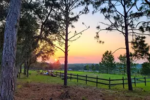 7150 SE 147 Ave, Morriston, FL 32668 - Photo 25