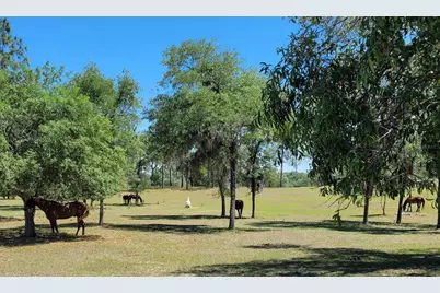 7150 SE 147th Avenue #2, Morriston, FL 32668 - Photo 27