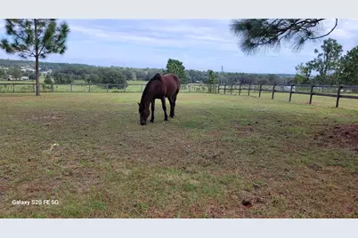 7150 SE 147th Avenue #2, Morriston, FL 32668 - Photo 49