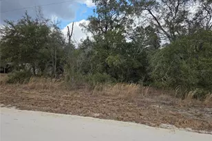 21531 SE 68th Ln, Morriston, FL 32668 - Photo 1