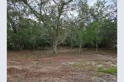 21531 SE 68th Lane, Morriston, FL 32668 - Photo 3