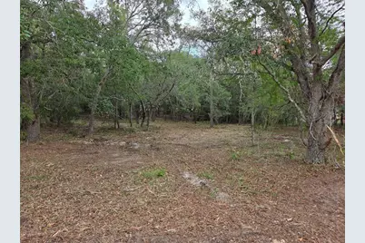 21531 SE 68th Lane, Morriston, FL 32668 - Photo 11