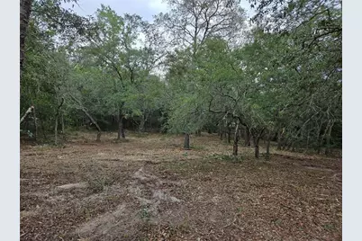 21531 SE 68th Lane, Morriston, FL 32668 - Photo 7