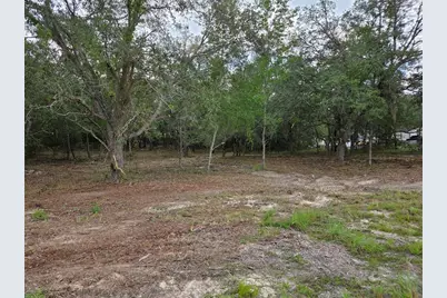 21531 SE 68th Lane, Morriston, FL 32668 - Photo 5