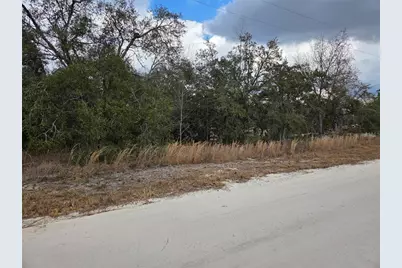 21531 SE 68th Lane, Morriston, FL 32668 - Photo 5