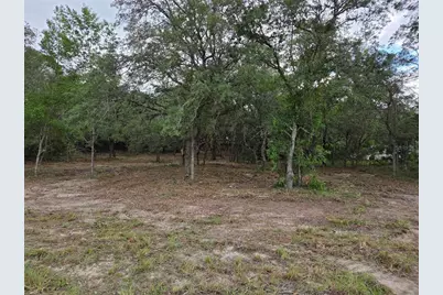 21531 SE 68th Lane, Morriston, FL 32668 - Photo 9