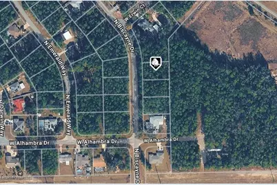 10075 N Biscayne Drive, Citrus Springs, FL 34434 - Photo 3