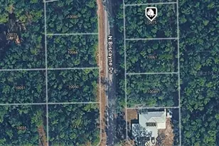 10075 N Biscayne Dr, Citrus Springs, FL 34434 - Photo 1