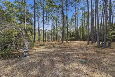 115 Chapel Lane, Hawthorne, FL 32640 - Photo 35