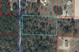 Tbd NE 150th Terrace, Williston, FL 32696 - Photo 1