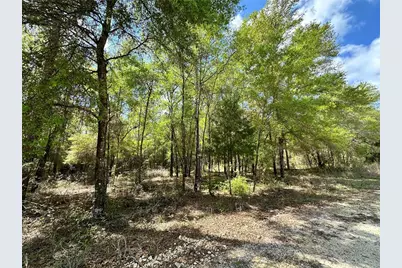 10350 NE 74th Place, Bronson, FL 32621 - Photo 7