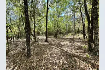 10350 NE 74th Place, Bronson, FL 32621 - Photo 9