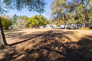 25020 NE 132 St, Salt Springs, FL 32134 - Photo 49