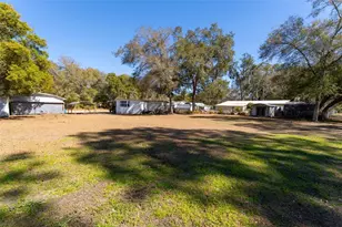 25020 NE 132 St, Salt Springs, FL 32134 - Photo 51