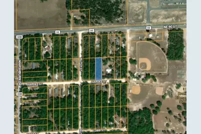 Tbd Hardee Street, Bronson, FL 32621 - Photo 3