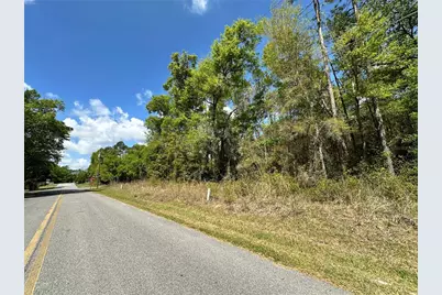 Tbd Hardee Street, Bronson, FL 32621 - Photo 5
