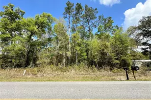 Tbd Hardee St, Bronson, FL 32621 - Photo 1