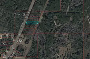 Tbd SE US Hwy 19, Inglis, FL 34449 - Photo 1