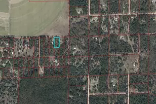 [Address not provided], Bronson, FL 32621 - Photo 1