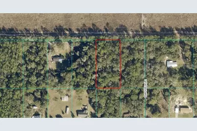 Tract 15 SW 150th Street, Dunnellon, FL 34433 - Photo 1