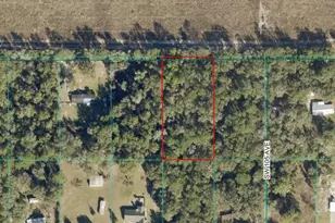 Tract 15 SW 150th St, Dunnellon, FL 34433 - Photo 1