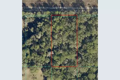 Tract 15 SW 150th Street, Dunnellon, FL 34433 - Photo 3