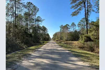 4345 Benedict Street, Hastings, FL 32145 - Photo 5