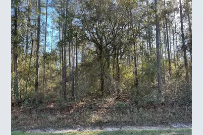 4345 Benedict Street, Hastings, FL 32145 - Photo 1