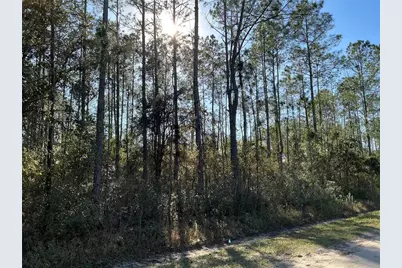 4345 Benedict Street, Hastings, FL 32145 - Photo 3