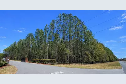 Nw 170th Street, Reddick, FL 32686 - Photo 7