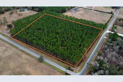 Nw 170th Street, Reddick, FL 32686 - Photo 5