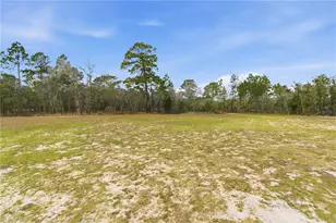 7551 SE 131st Ave, Morriston, FL 32668 - Photo 31