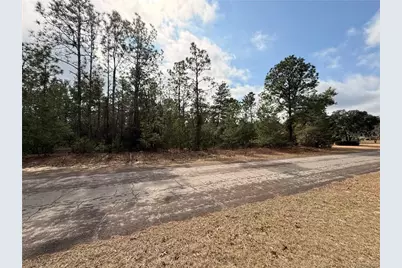 5872 N Rosewood Drive, Beverly Hills, FL 34465 - Photo 11