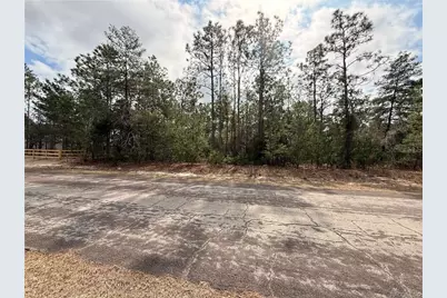 5872 N Rosewood Drive, Beverly Hills, FL 34465 - Photo 3