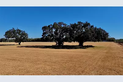 00 121st Rd, O'Brien, FL 32071 - Photo 7